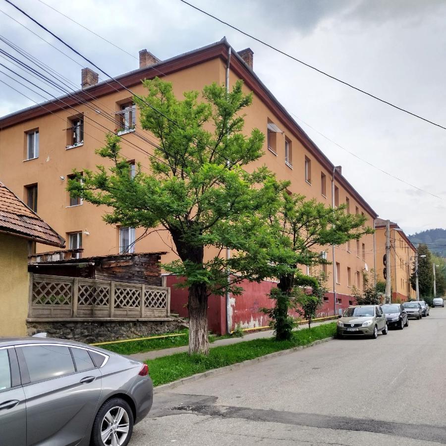 Apartament Camelia Petroşani Exterior foto